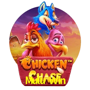 Mulu Win — Chicken Chase crash game | Play on Android APK & iPhone for real money | Hacksaw Gaming
